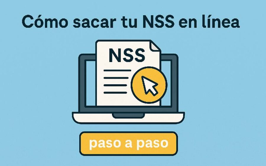 Descargar y Consultar tu NSS en Línea: Guía Completa y Actualizada