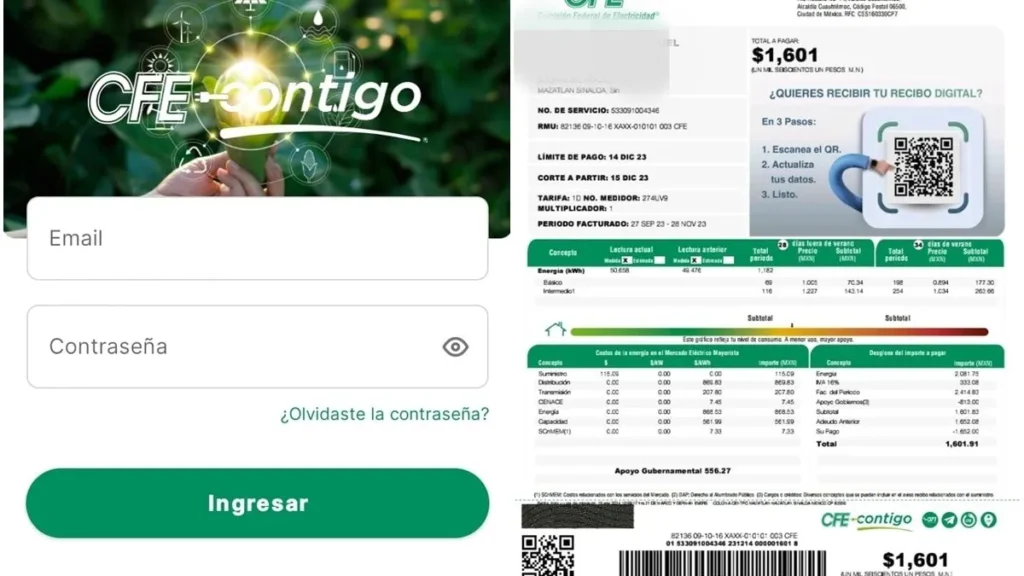 Recibo de luz en línea