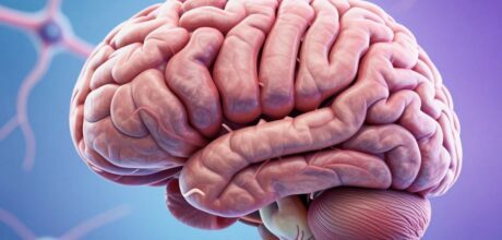 Curiosidades sobre o Cérebro: O que Você Precisa Saber
