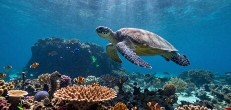 Descubra Fatos Desconhecidos sobre os Oceanos